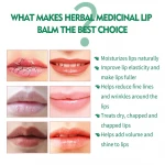 Blistfix Herbal Medicated Lip Balm